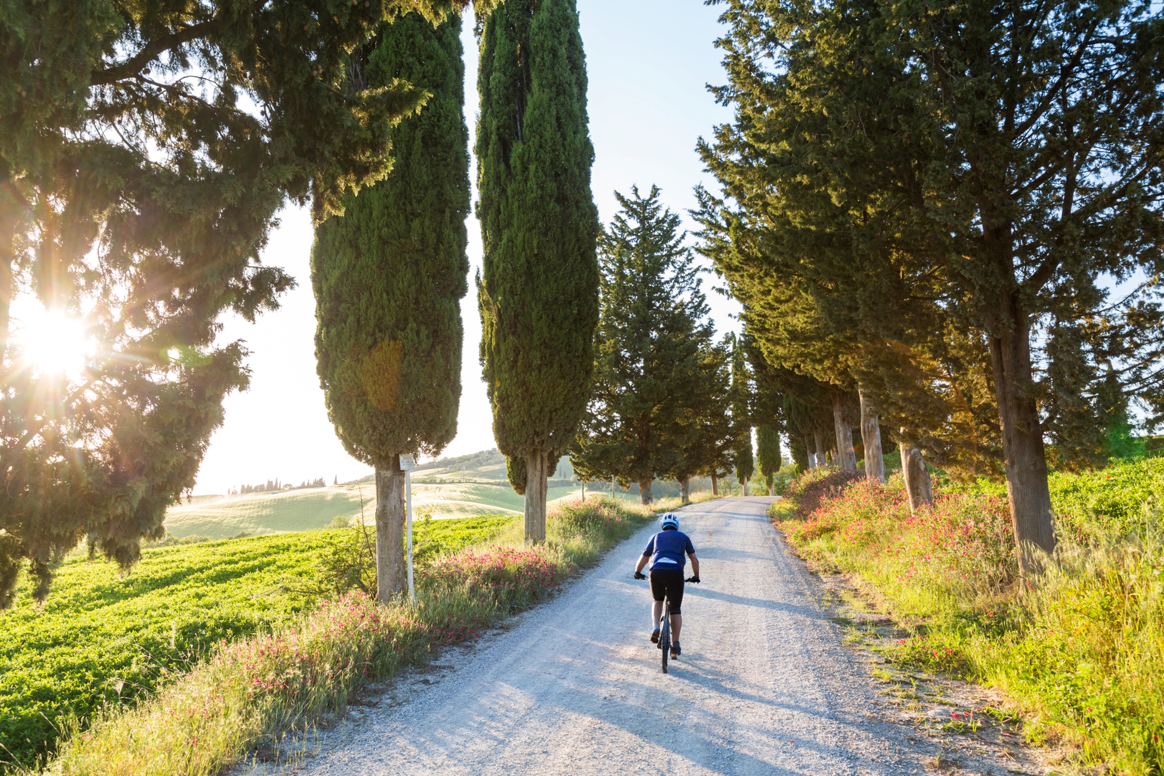 Fietsen door het prachtige Toscaanse landschap met cipressen